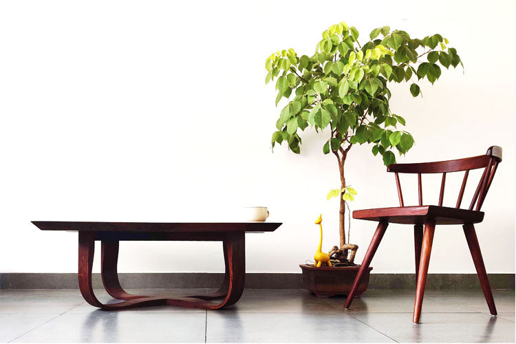 Cranberry Coffee Table - Rosewood
