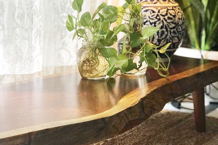 Natura Display Table - Rosewood